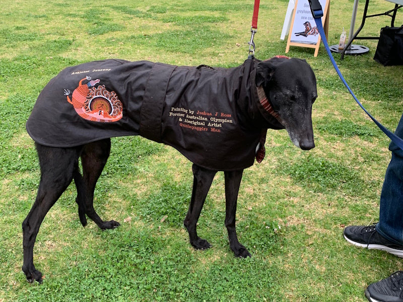Bespoke Oilskin coat designed and hand made for Australian GAP dogs now living in the USA.