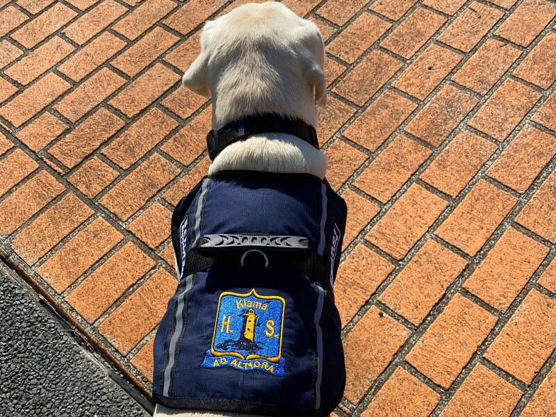 A Business / School Logo Embroidered on Vest