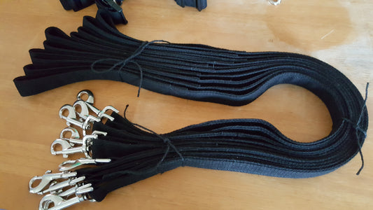 Assistance and Therapy Leash