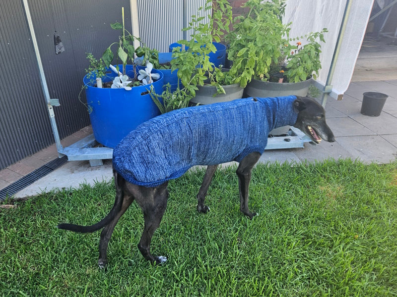 Knitted Sweater