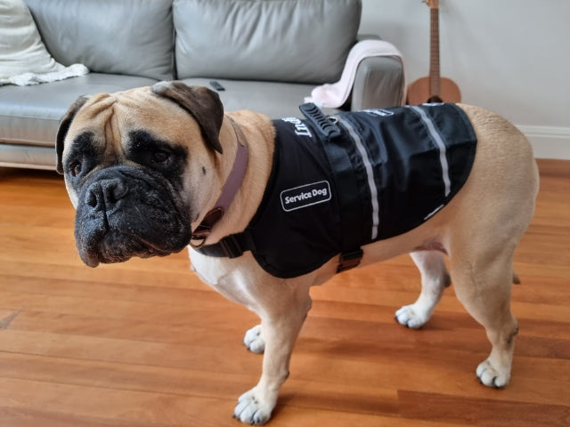 1 Dogs Name Embroidered on coat/vest