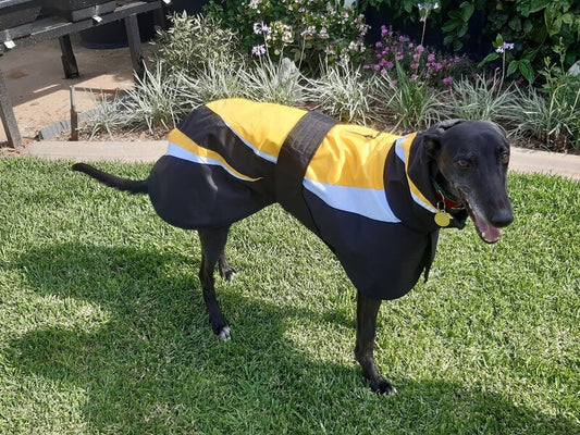 100 % waterproof Rain Mac