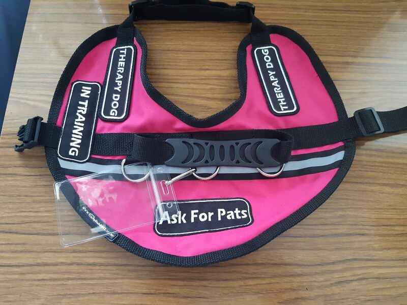 Assistance/Therapy Dog Vests to be worn with harness