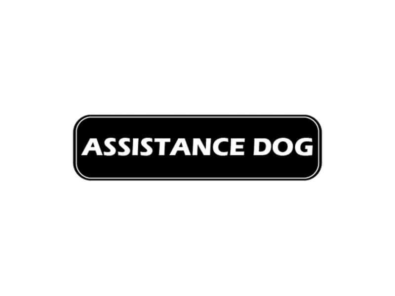 Assistance Dog