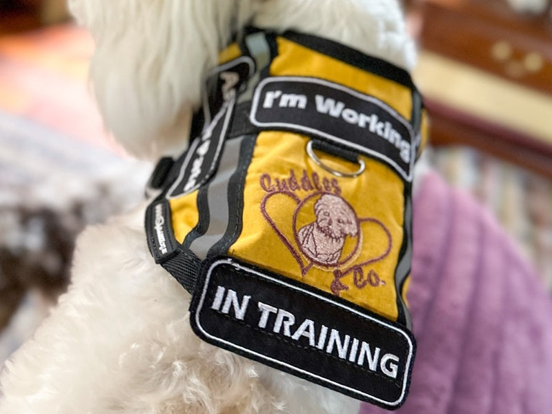 A Business / School Logo Embroidered on Vest