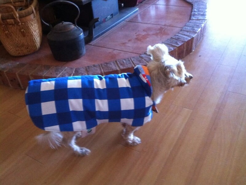 Dog Lounge Coat