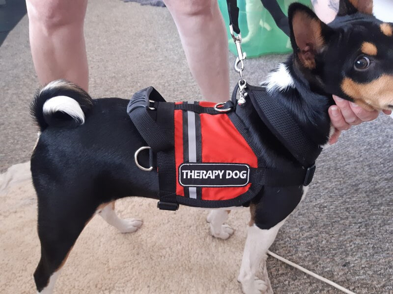 A Business / School Logo Embroidered on Vest