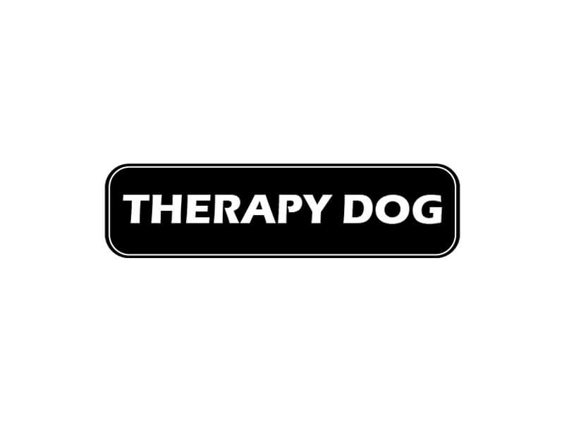Therapy Dog