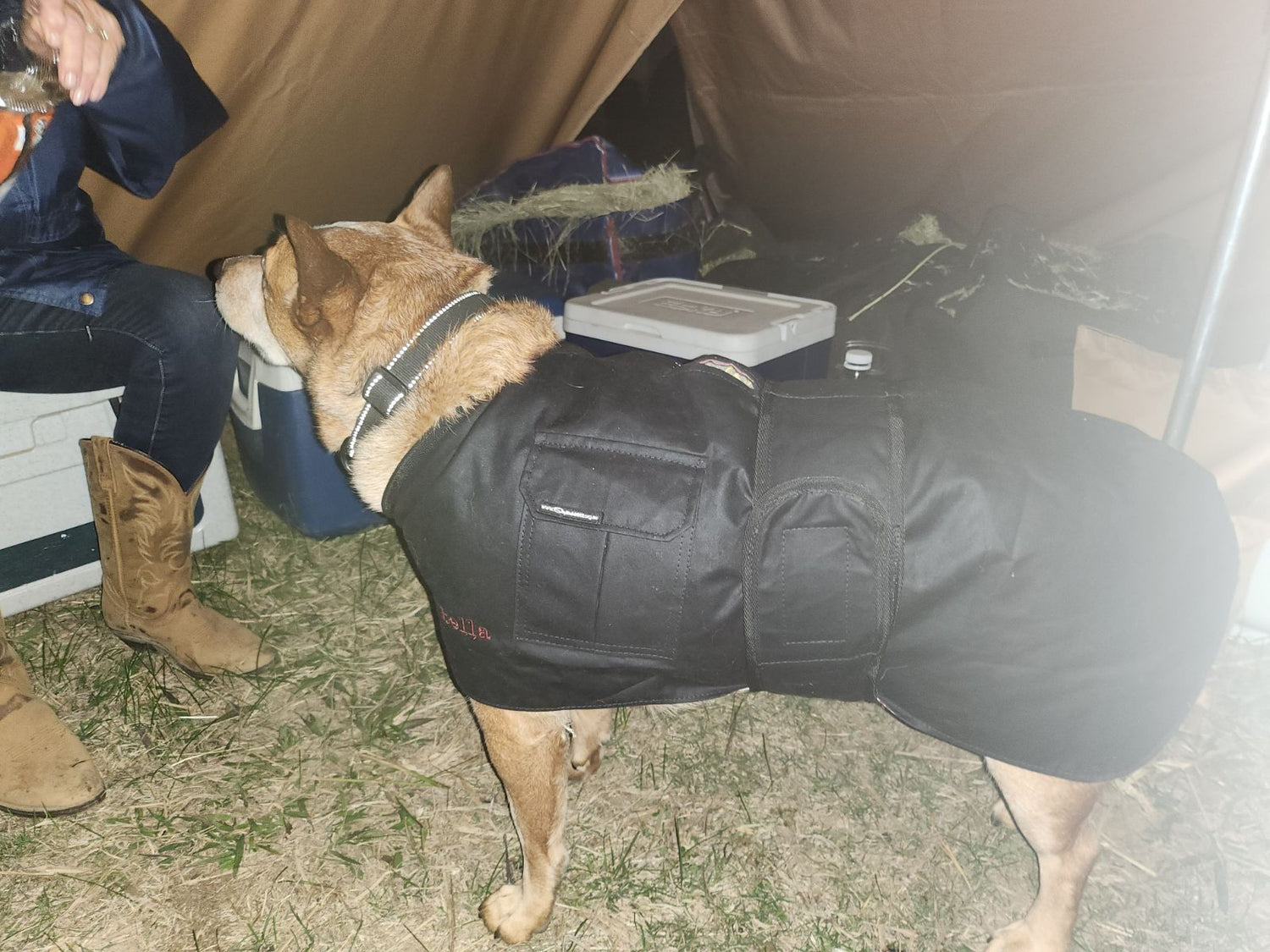 Oil Skin Dog Coats