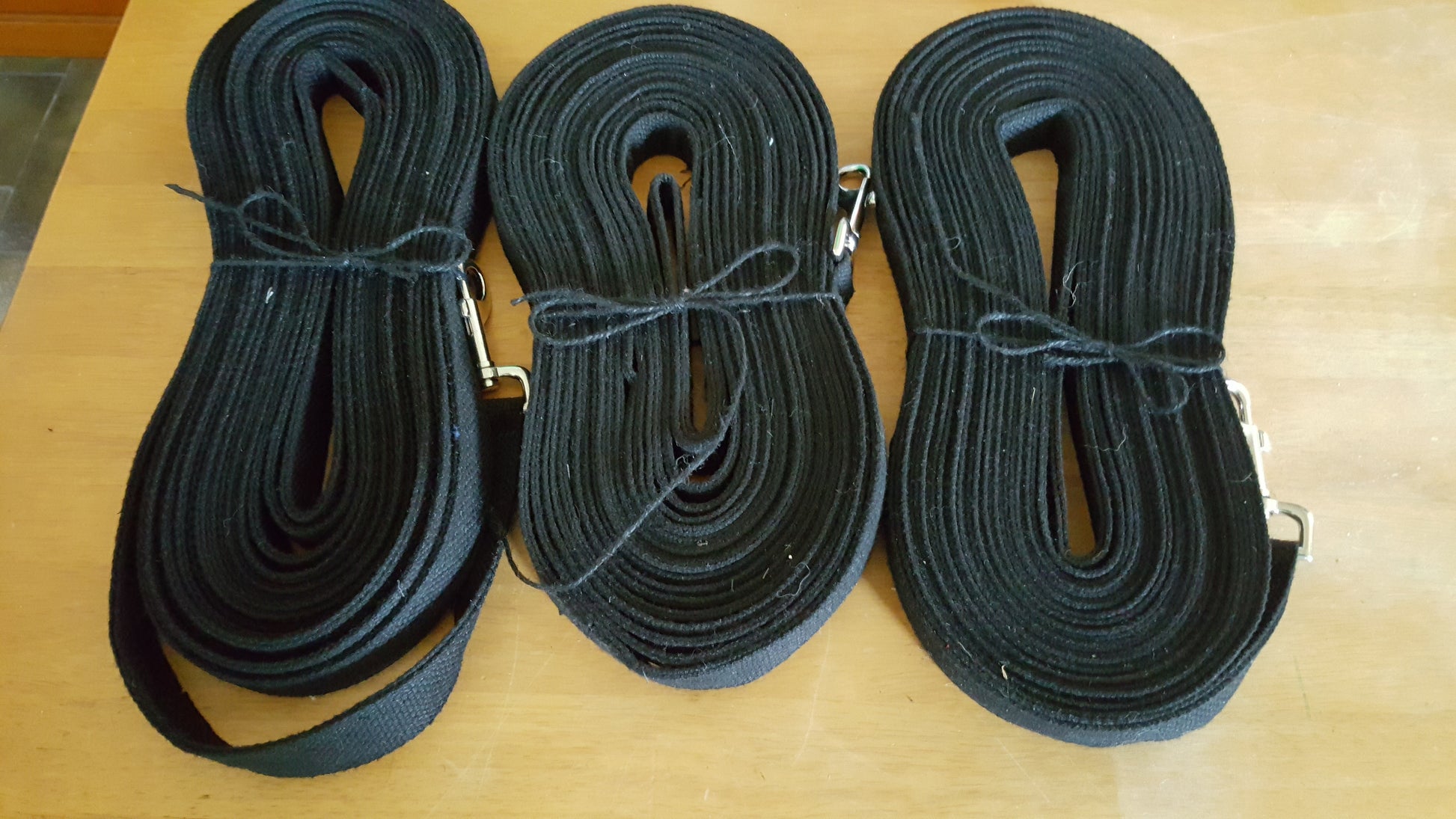 Assistance and Therapy Leash