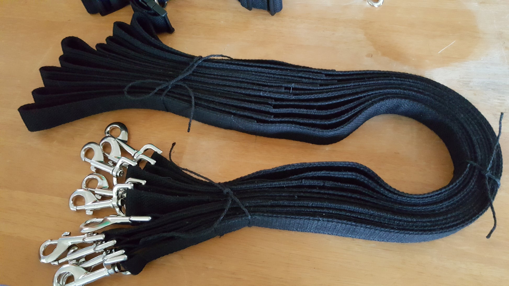Assistance and Therapy Leash