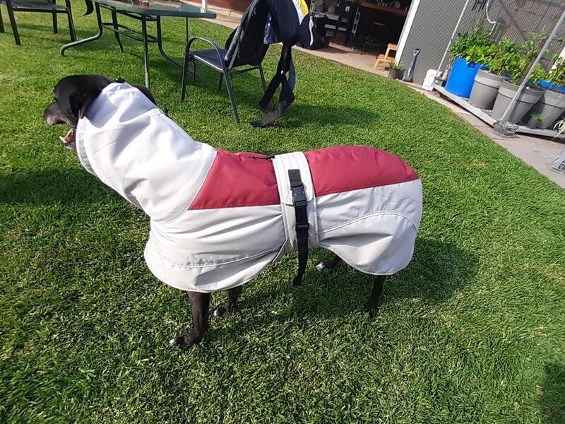 Winter Coat